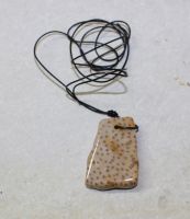 Versteinertes Palmholz - Freeform gebohrt - Anh�nger - 1 St�ck