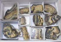 Schalenblende - Sphalerit - 4-9cm - 11 St�ck