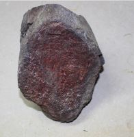 Versteinerter Saurierknochen - 13x10x6cm - Einzelst�ck