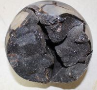 Septarie schwarz - Kugel - 15,5cm - 3,7 kg - Einzelst�ck