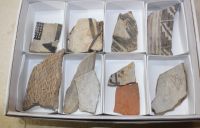 Anasazi Tonscherben - Fragmente - 5-10cm - Karton  - 10 St�ck