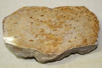 Versteinertes Holz - Palmholz  14,5x7cm  Scheibe - Einzelst�ck