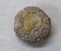 Versteinerter Seeigel - Plegiocidaris coronata - 5,5cm - Einzels