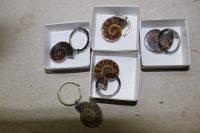 Ammonit - Schl�sselanh�nger - Metall - 30-40mm  - 1 St.