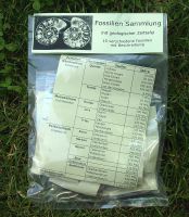 Fossilien Sammlung mit Beschreibung - 5 Sets