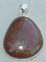 Versteinerter Saurierknochen - Anh�nger mit 925 Sterling-Silber