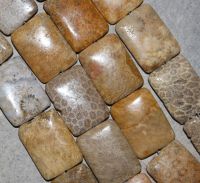 Versteinerte Koralle - Rechteck - 30x22mm - Kettenstrang