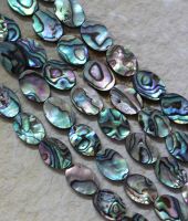 Paua Muschel Abalone - Oval - 14x10mm - Kettenstrang