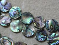 Paua Muschel Abalone - Disc flach - 16mm - Kettenstrang