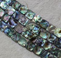 Paua Muschel Abalone - Quadrat - 14x14mm - Kettenstrang