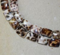 Tigris Muschel - Rechteck - 18x13mm - Kettenstrang