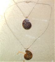 Ammonit  - Anh�nger Cleoniceras - Metallkette - 45cm - 1 St.