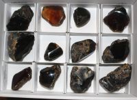 Bernstein - anpolierte Rohst�cke - 12 St�ck - Karton