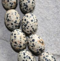 Dalmatiner Jaspis - Oval - 17mmm - Kettenstrang