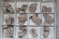 Feueropal aus Mexiko - Rohst�cke - Karton
