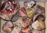 Karneol - Rohst�cke - 5 kg - Beutel