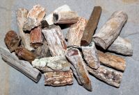 Versteinertes Holz - St�mme anpoliert - 1 kg