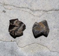 Staurolith - Kristalle gebohrt - Anh�nger - 2 St�ck