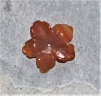 Carneol - Anh�nger - Bl�te mit Bohrung - 1 St�ck