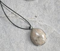 Seeigel - Anh�nger - Fossil an Lederband - 1 St.