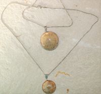 Seeigel - Anh�nger - Fossil an Metallkette - 45cm - 1 St.