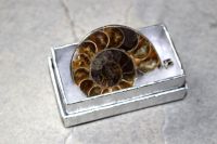 Ammonit - Anh�nger - Metall - 45-50mm - in Box - 1 St�ck