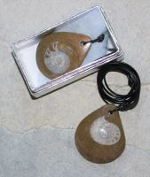 Goniatit - Anh�nger - Fossil an Lederband - in Box - 1 St�ck
