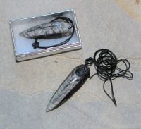 Orthoceras - Anh�nger - Fossil an Lederband - in Box - 1 St�ck