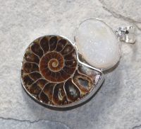 Ammonit - Chalcedon - Anh�nger -45mm - Silber - 1 St�ck
