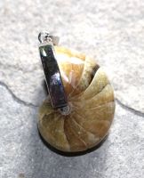 Nautilus - Anh�nger - 30mm - Silber - 1 St�ck