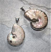 Ammonit - Anh�nger - 35-40mm - Silber - 1 St�ck