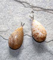 Versteinertes Palmholz - Anh�nger mit �se - Tropfen- 30mm - 1 St