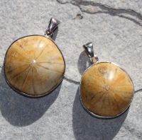 Seeigel - Anh�nger - 25-30mm - Silber - 1 St�ck