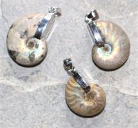 Ammonit - Anh�nger - 20-25mm - Silber - 1 St�ck