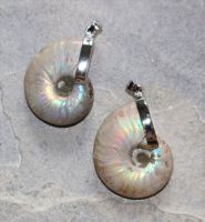 Ammonit - Anh�nger - 20mm - Silber - 1 St�ck