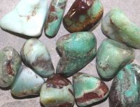 Chrysopras - Trommelsteine - 250 Gramm