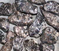 Turitella Achat - Trommelsteine - 500 Gramm