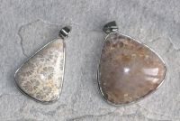 Versteinerte Koralle  - Anh�nger - Cabochon mit Fassung - 1 St.