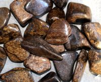 Bronzit - Trommelsteine - 500 Gramm