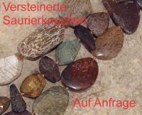 Versteinerte Saurierknochen - Kettenstr�nge - Preis auf Anfrage