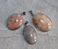 Versteinerte Koralle - Anh�nger - Cabochon mit Fassung - 3 St.