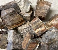Versteinertes Holz - Rohst�cke - 4-7cm - 2 kg