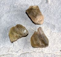 Libysches W�stenglas - 11-13 Gramm - 32-36mm - 1 St�ck