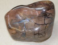 Boulder Opal - Freeform anpoliert - 9x7x8cm - Einzelst�ck