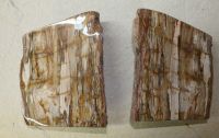 Versteinertes Holz - Buchst�tze L�ngsschnitt- 27x17cm - 1 Paar