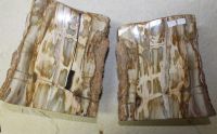 Versteinertes Holz - Buchst�tze L�ngsschnitt- 30x14cm - 1 Paar