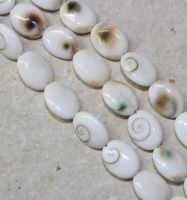 Shiva Auge Muschel - Oval - 15x12mm - Kettenstrang
