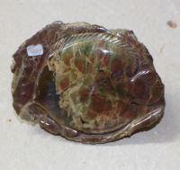 Fisch Tier Figur - Oregon Opal - 13cm - 1 St�ck