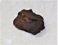 Meteorit - Einzelst�ck - �gypten - 35x30mm - 1 St�ck