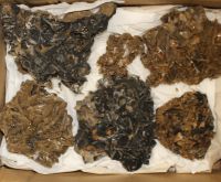 Baryt - Kristalle - Stufe - 6-19cm - Karton